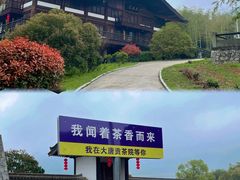 -大唐贡茶院