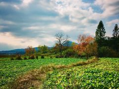 -塔川景区