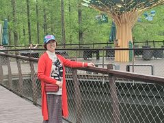 -黄海国家森林公园