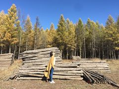 -塞罕坝国家级自然保护区