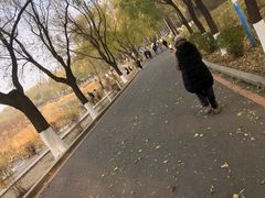 -丁香湖公园