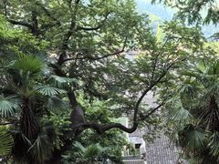 -丹山赤水风景名胜区