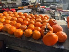 -南窖乡水峪村山情农家