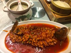 松鼠鱼-乾园(天河城店)