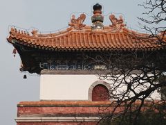 -颐和园