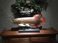 -富侨养生(康乾店)