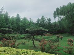 -达活泉公园