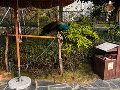 -珠海海泉湾神秘岛亲子乐园