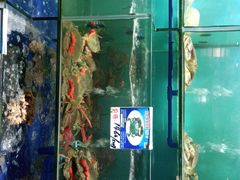 水产区-南海渔家•海鲜•正宗海南菜(海棠湾店)