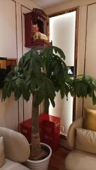 点击看大图 -茜尔维亚修身连锁(杨浦五角场店)