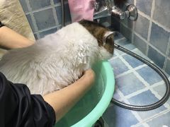 -1013 PET SHOP 宠物商店(近铁城市广场店)