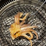 牛百宝箱都有啥[调皮]