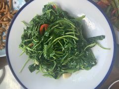 黄山野菜-徽厨食坊·农家特色私房菜