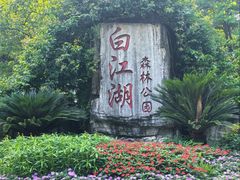 -广州白江湖森林公园