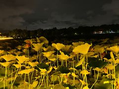 -长春市南湖公园