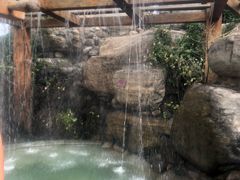 -仁爱团泊湖温泉中心
