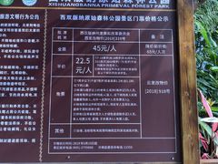 -西双版纳原始森林公园