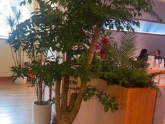 -天语雅阁(永乐路店)