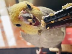 -三品王(万象城店)