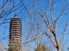 -西海子公园