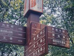 -岳麓山风景名胜区