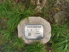 -秋霞圃