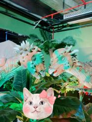 -恐龙探索乐园(磁器口店)