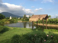 -亚龙湾国际玫瑰谷