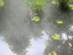 -大妙火锅·非物质文化遗产(东湖公园店)