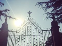 -上海佘山国家森林公园西佘山园