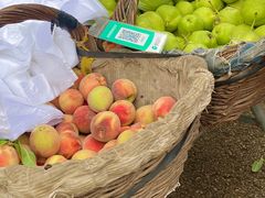 -老三羊汤【北兴隆街店】