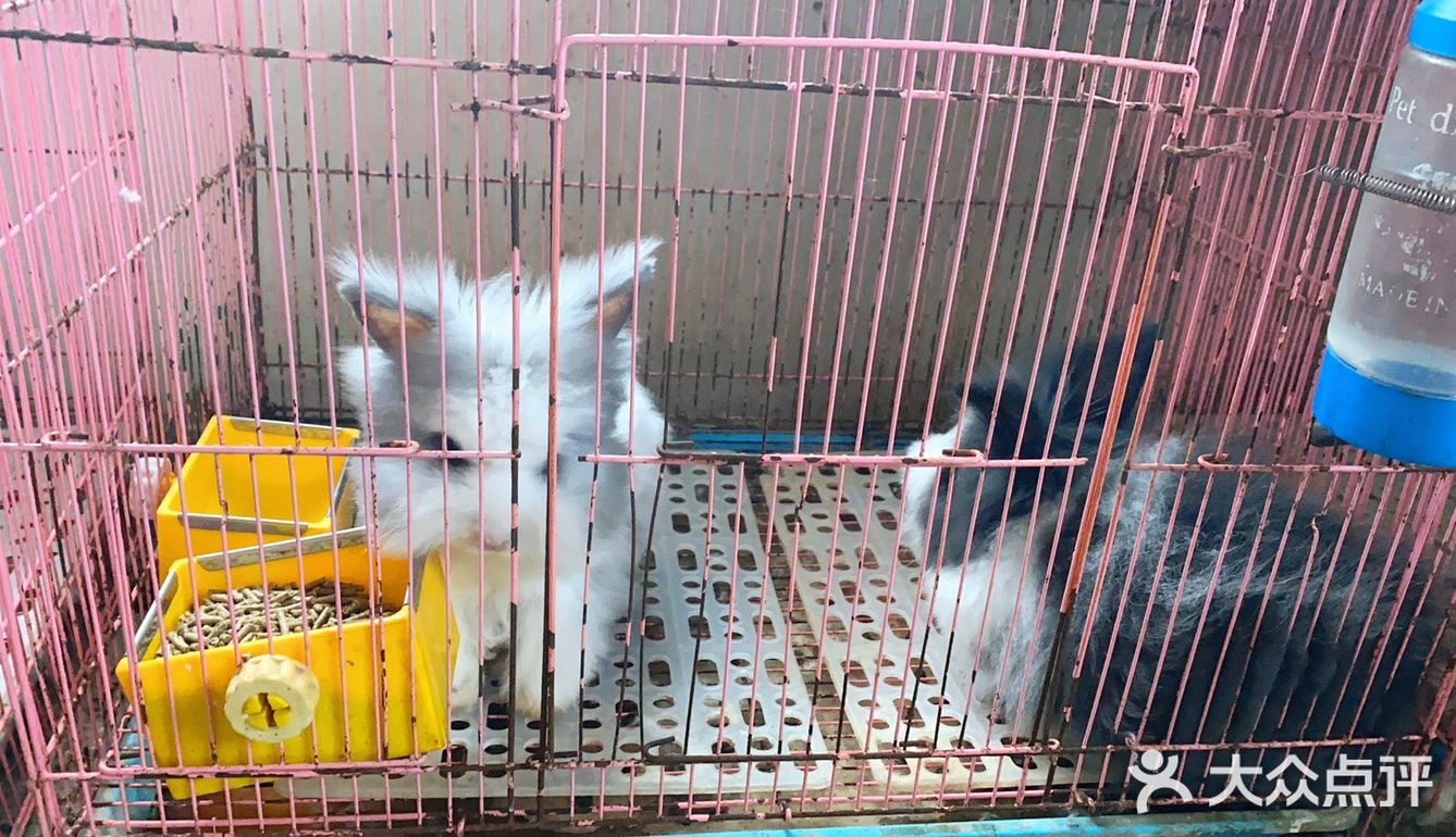 房山区的吃货们不容错过,这家宝藏农家菜店的酱香地锅鸡、石锅鸡