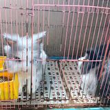 房山区的吃货们不容错过,这家宝藏农家菜店的酱香地锅鸡、石锅鸡