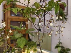 -绿小院(荔湾店)