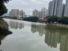-光明港公园
