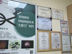 -全心全意连锁动物医院·微创中心·内科急重症·心脏专科(丰管路店)