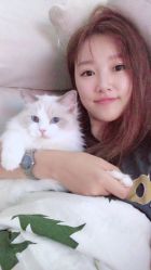 -镁连社·美联社