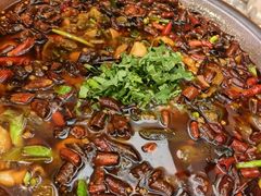 -情妹耙泥鳅·江湖川菜(科华店)