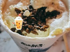 踏雪寻梅-唐沫茶兮(东百爱琴海6楼店)