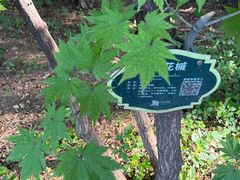 -沈阳植物园