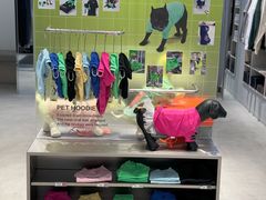-HOWOW·D2Y(柏威年店)