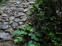 -龙门涧景区