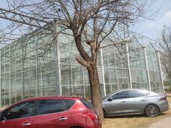 -甜心庄园·甜心草莓采摘园(西青中北店)