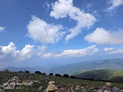 -灵山