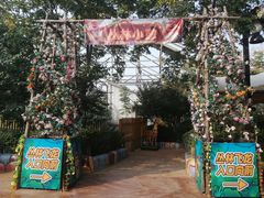 -郑州方特梦幻王国