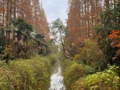 -上海怡沁园度假酒店
