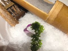 -大渝火锅(苏州西城永捷店)