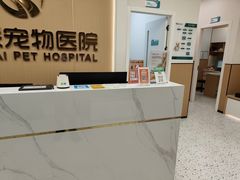 -瑞派康怡24h宠物医院·犬猫医疗中心·微创绝育(瑞景分院)