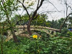 -赵州桥景区