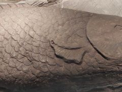 -白鹤梁水下博物馆